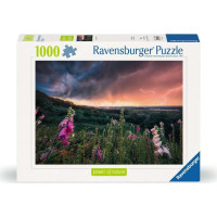 RAVENSBURGER Puzzle Sila prírody: Magická búrka 1000 dielikov