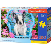 CASTORLAND Puzzle Šteňa francúzskeho buldočka 100 dielikov