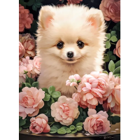 CASTORLAND Puzzle Šteňa Pomeraniana v ružiach 300 dielikov