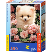 CASTORLAND Puzzle Šteňa Pomeraniana v ružiach 300 dielikov