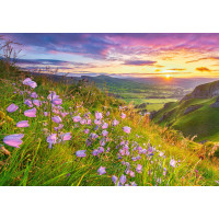 CASTORLAND Puzzle Zvončeky pri východe slnka 500 dielikov