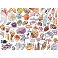 Galison Puzzle Z príručky plážového povaľača 1000 dielikov