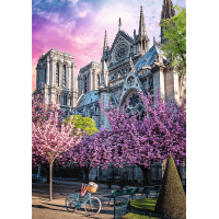 TREFL Puzzle Premium Plus Photo Odyssey: Katedrála Notre-Dame v Paríži 1000 dielikov