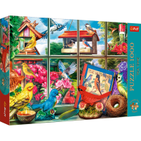 TREFL Puzzle Premium Plus Tea Time: Svet vtákov 1000 dielikov