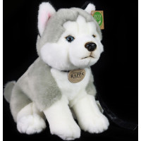 Rappa Plyšový pes husky sediaci s vodítkom 28 cm ECO-FRIENDLY