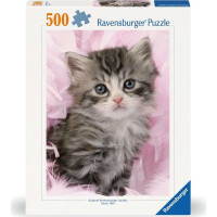 RAVENSBURGER Puzzle Roztomilé mačiatko 500 dielikov
