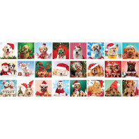 EUROGRAPHICS Puzzle Adventný kalendár: Vianočné labky 24x50 dielikov