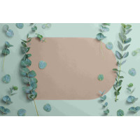 Obojstranné prestieranie STELA STYLE 44,5x30 cm - béžové/čierne