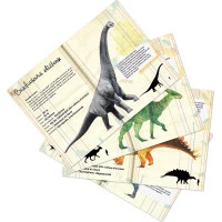Vilac Magnetky dinosaury