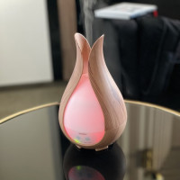 Aróma difuzér - zvlhčovač 200 ml Ruhhy