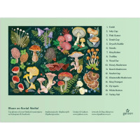Galison Puzzle Svet húb 1000 dielikov
