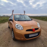 Sobie parohy a nos pre auto - vianočné dekorácie