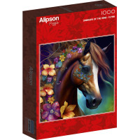 ALIPSON Štvorcové puzzle Milovník vetra 1000 dielikov