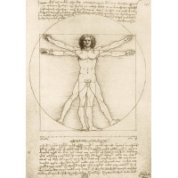 BLUEBIRD Puzzle Vitruviánsky muž 1000 dielikov Leonardo Da Vinci
