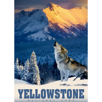 ALIPSON Puzzle Yellowstonský vlk 500 dielikov