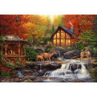 GRAFIKA Puzzle Farby života 1000 dielikov