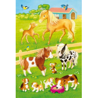 SCHMIDT Puzzle Priatelia zo statku 3x24 dielikov