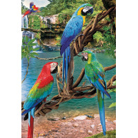 EUROGRAPHICS Puzzle Save Our Planet: Papagáje Ara XL 250 dielikov