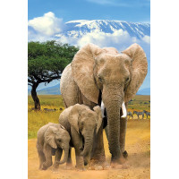 EUROGRAPHICS Puzzle Save Our Planet: Slony XL 250 dielikov