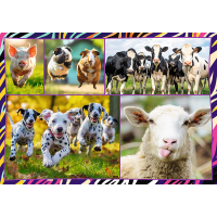 TREFL Puzzle Zábavné zvieratá 4x250 dielikov
