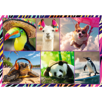 TREFL Puzzle Zábavné zvieratá 4x250 dielikov