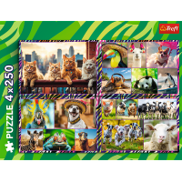 TREFL Puzzle Zábavné zvieratá 4x250 dielikov
