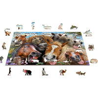 WOODEN CITY Drevené puzzle Kone všade okolo 505 dielikov