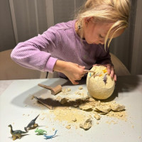 Dinosaurie vajcia - Vykopávka