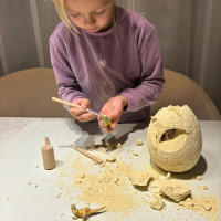 Dinosaurie vajcia - Vykopávka