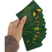 Dinosaurie vajcia - Vykopávka