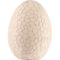 Dinosaurie vajcia - Vykopávka