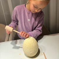 Dinosaurie vajcia - Vykopávka