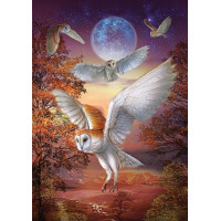 ART PUZZLE Puzzle Nočné sovy 1000 dielikov