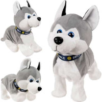 Interaktívny pes Husky