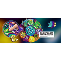 EscapeWelt Drevené puzzle Sukulenty 200 dielikov