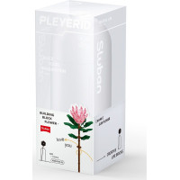 Sluban Flowers M38-B1101-03 Protea veľká vo váze