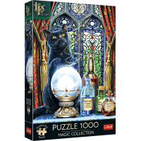 TREFL Puzzle Premium Plus Magic Collection: Čarodejný učeň 1000 dielikov