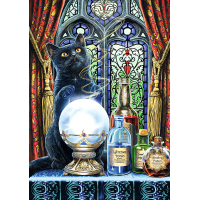 TREFL Puzzle Premium Plus Magic Collection: Čarodejný učeň 1000 dielikov