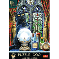 TREFL Puzzle Premium Plus Magic Collection: Čarodejný učeň 1000 dielikov