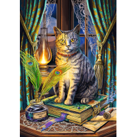 TREFL Puzzle Premium Plus Magic Collection: Kniha tieňov 1000 dielikov