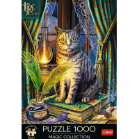 TREFL Puzzle Premium Plus Magic Collection: Kniha tieňov 1000 dielikov