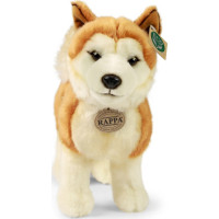 Rappa Plyšový pes akita inu 30 cm ECO-FRIENDLY
