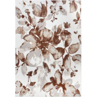 Kusový koberec Shine 105921 Floral White Brown
