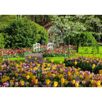 RAVENSBURGER Puzzle Kúzelné záhrady: Záhrada Európy Keukenhof, Holandsko 1000 dielikov