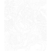 JANOD Maľovanie podľa čísel: Lesné zvieratká