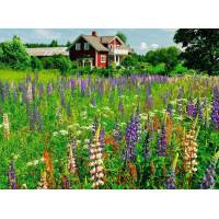 RAVENSBURGER Puzzle Škandinávia: Farma vo Švédsku 500 dielikov