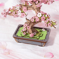 RoboTime 3D drevená skladačka Bonsaj sakura