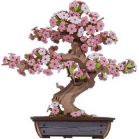 RoboTime 3D drevená skladačka Bonsaj sakura