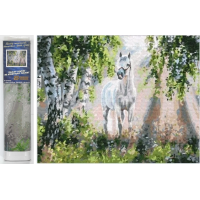 NORIMPEX Diamantové maľovanie Biely kôň 30x40cm