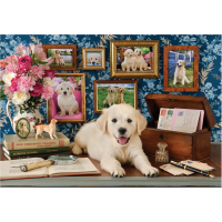 ANATOLIAN Puzzle Labrador 500 dielikov